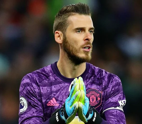 金年会官网入口-集结日费耶诺德备战亚冠，豪取连胜细节曝光，质疑声仍在，年轻球员得到机会